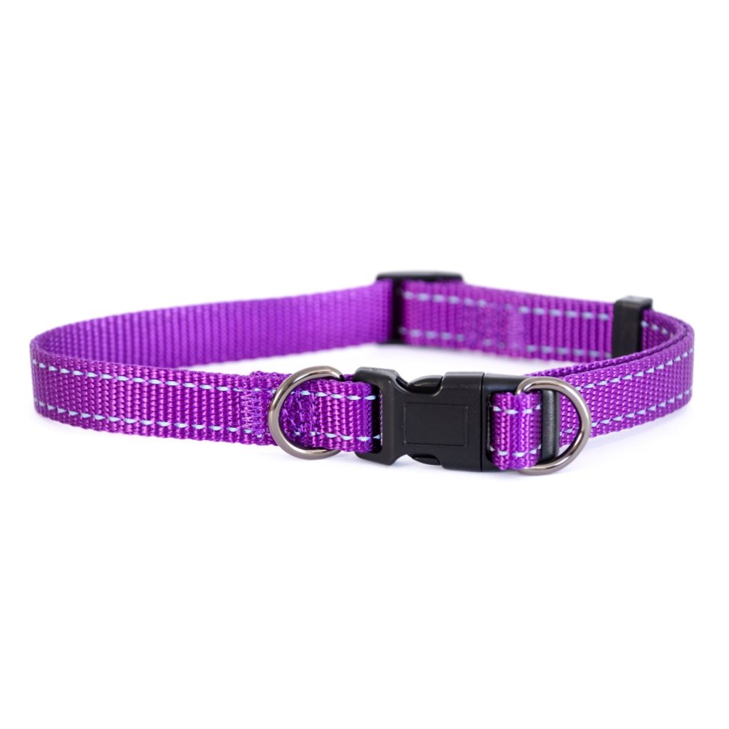 Halsband Med Reflex Iris Lila 1x22-35cm