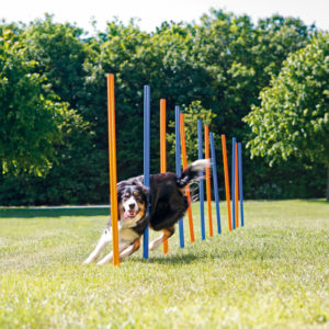Agility Slalompinnar Plast 12-pack 115cm - Bild 2