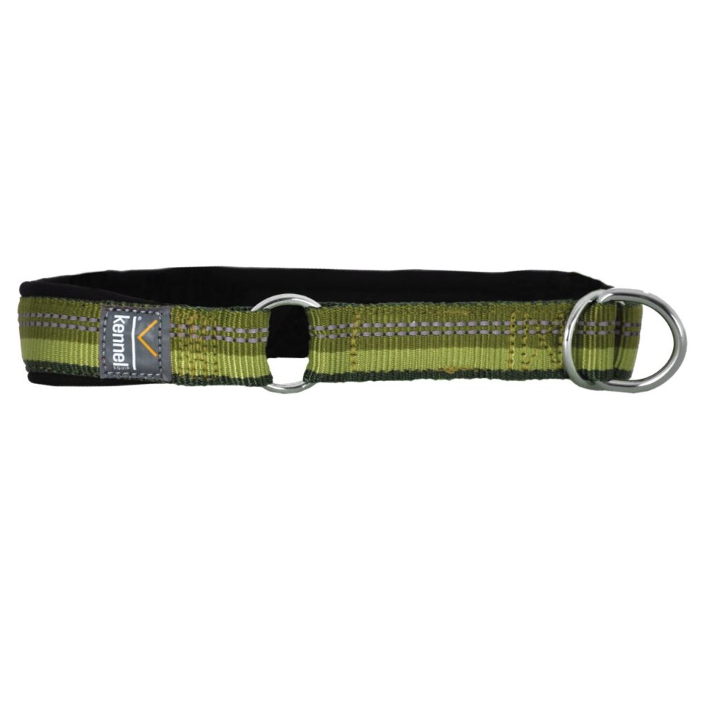 Halvstryp Kennel Equip Active Grön 2,5x22-32cm
