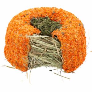 Tiny Town Kaka Morot 15x7cm