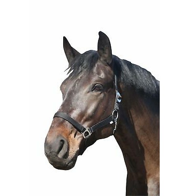 412130001 horse guard grimma nylon svart wpp1598523123934