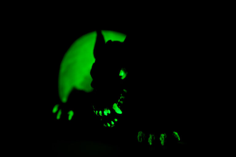 Zombie Dog Rising Fom Grave