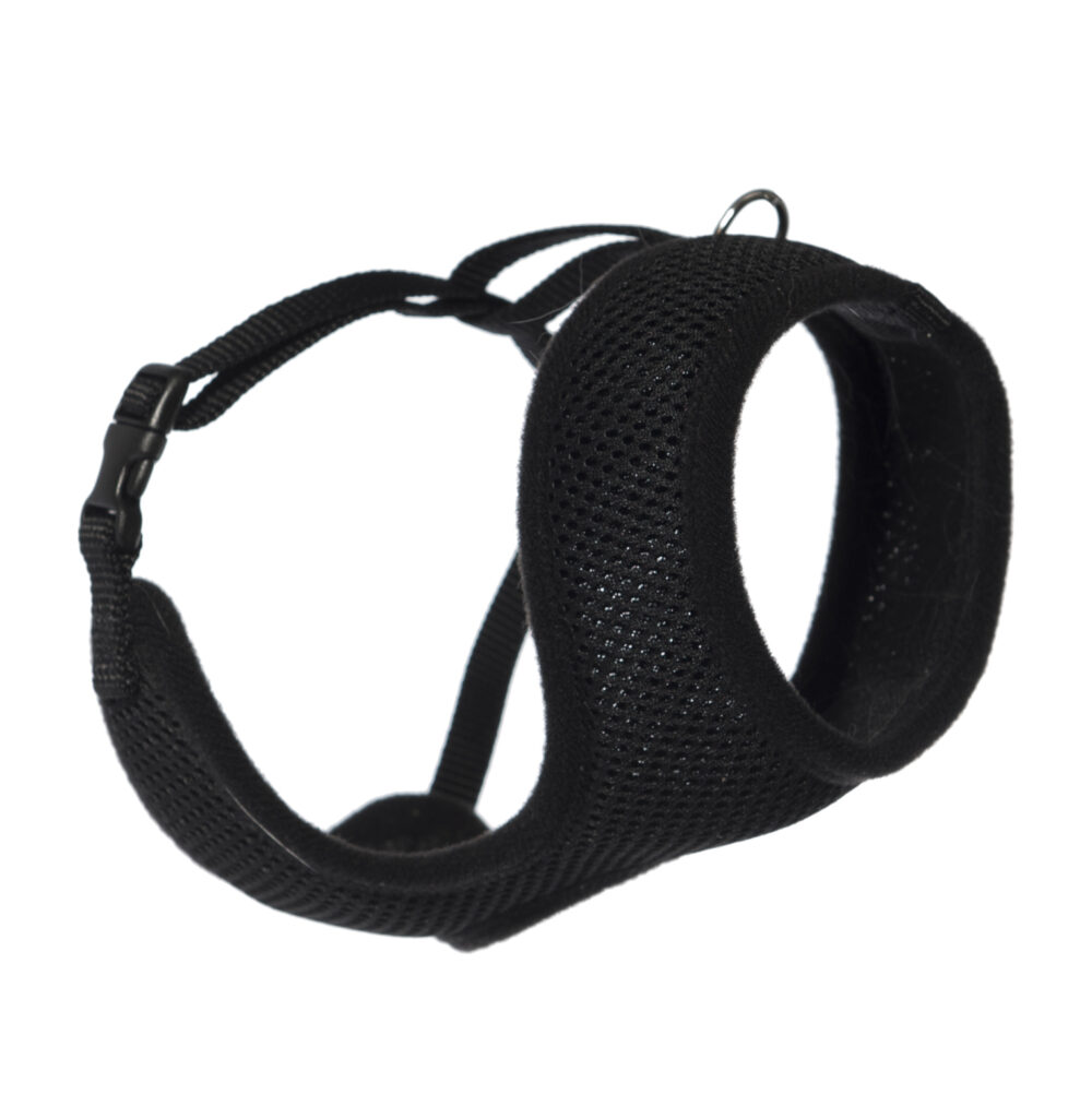 Sele Comfort Mini Svart L 36/64cm
