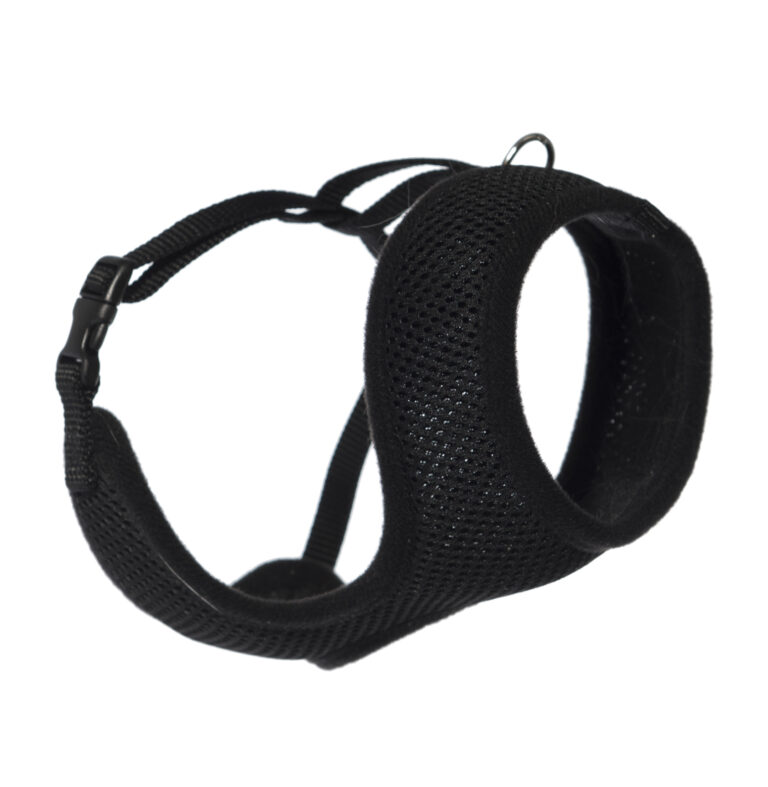 Sele Comfort Mini Svart L 36/64cm