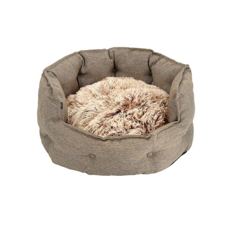 Bädd Classy Memory Foam Oval Dogman Beige L