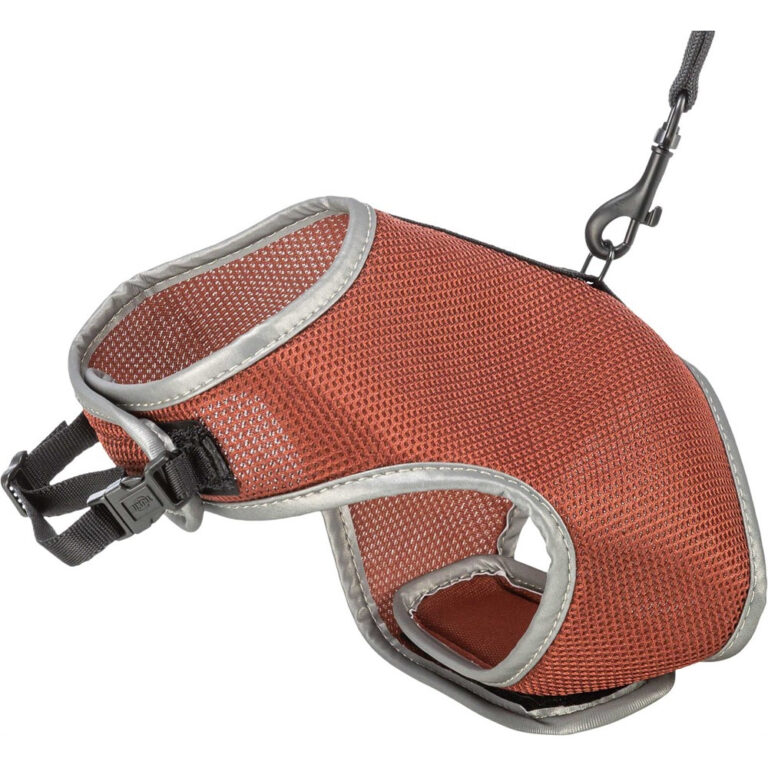 Kattsele Mjuk Med Koppel Rost 24-42cm 1,2m