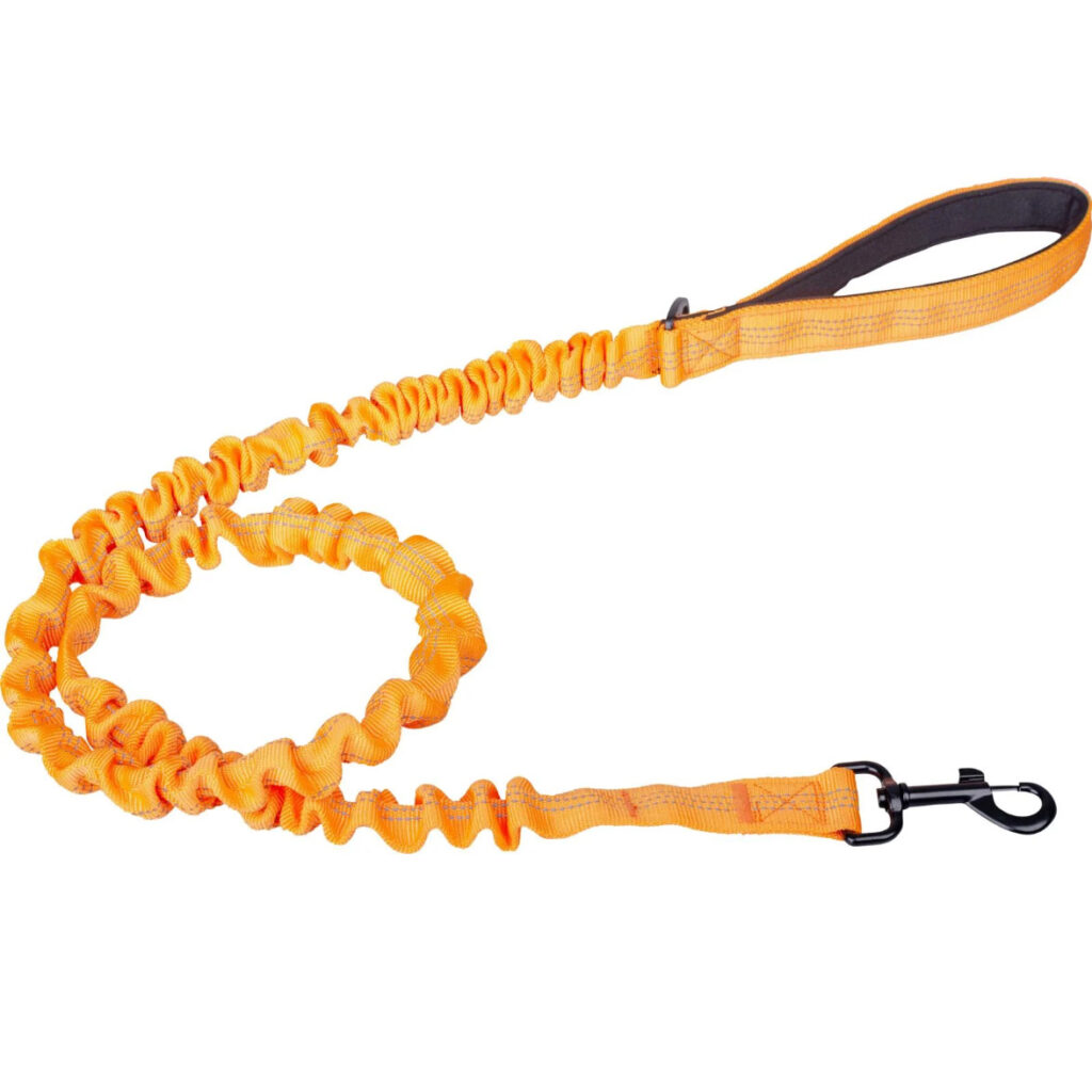 Elastiskt koppel Companion Orange 2,5x120cm