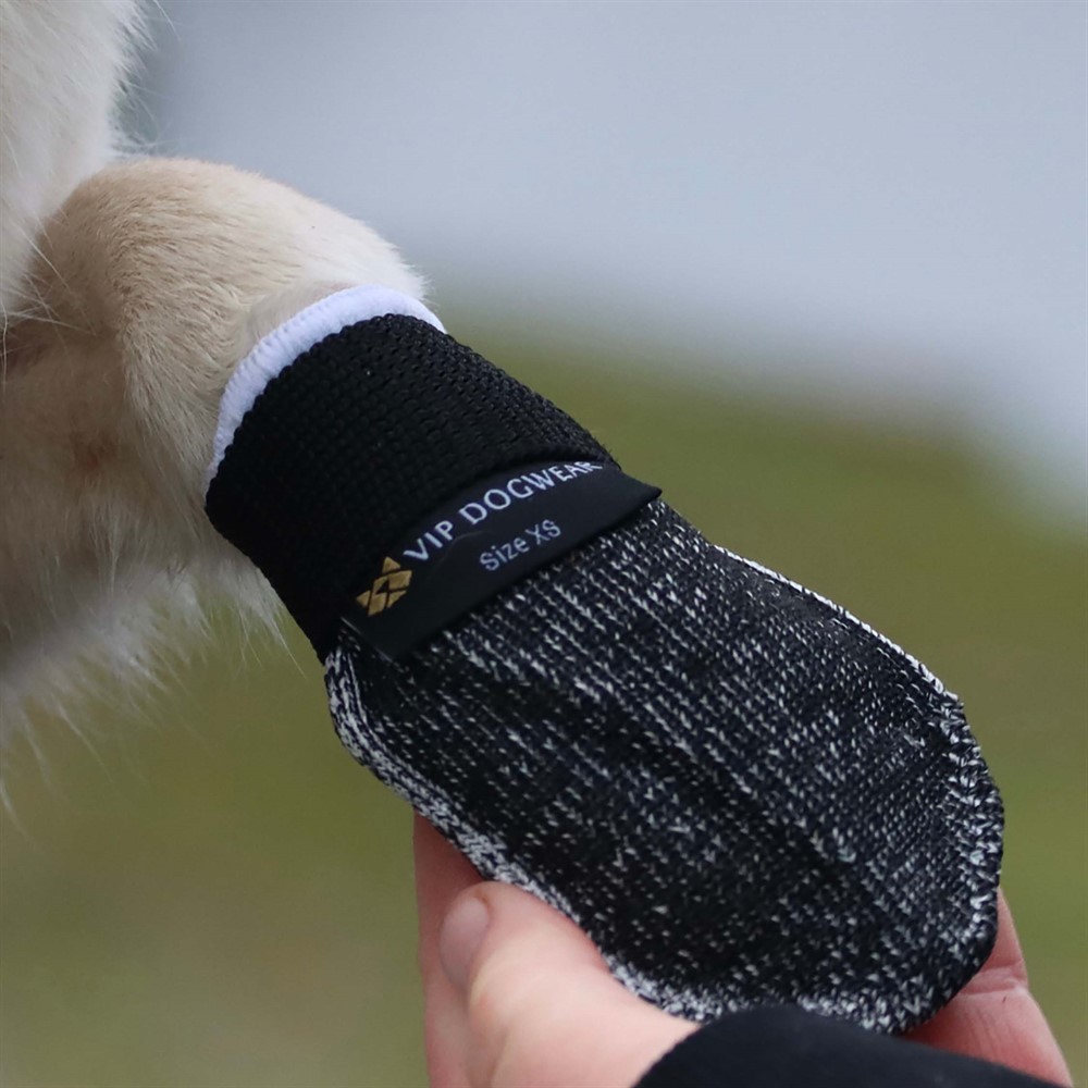 Hundsko Universal VIP Dogwear M 4-pack - Bild 2